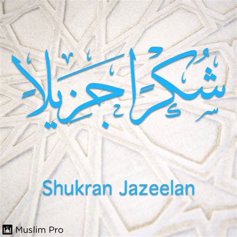 shukran jazeelan meaning|How to Say Thanks In Arabic And Respond (MSA.
